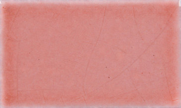 ROSE VIELLI